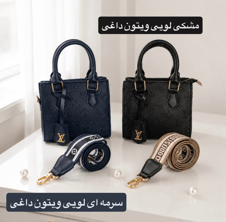 کیف پاسپورتی لویی ویتون رنگبندی